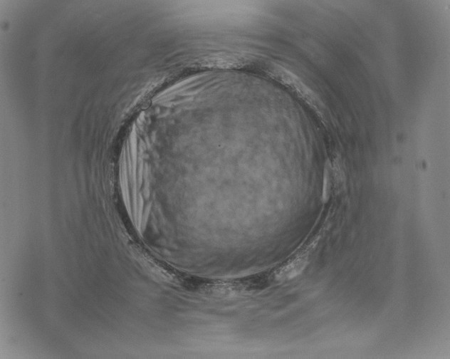 X0000075360305200609251108