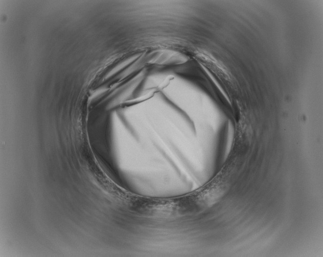 X0000075360306200609251108