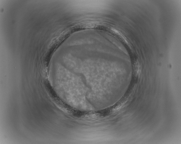 X0000075360307200609251108