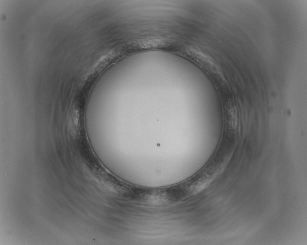 X0000075360308200609251108