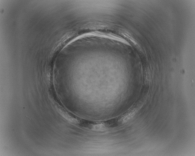 X0000075360309200609251108