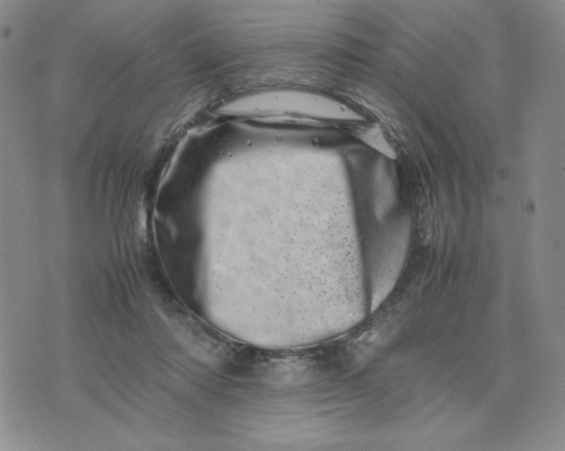 X0000075360310200609251108