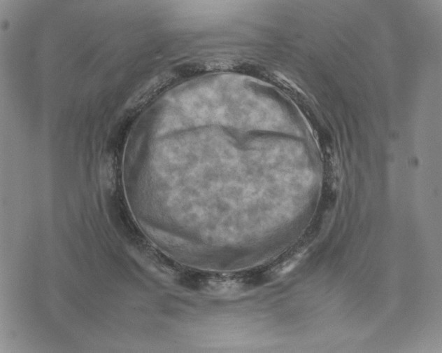 X0000075360311200609251108