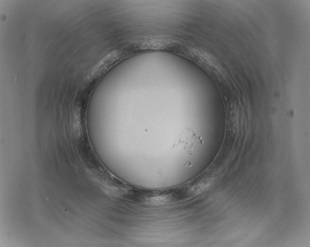 X0000075360312200609251108