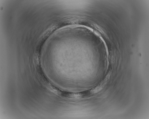 X0000075360313200609251108