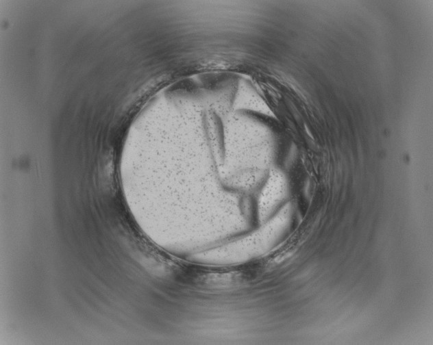 X0000075360314200609251108