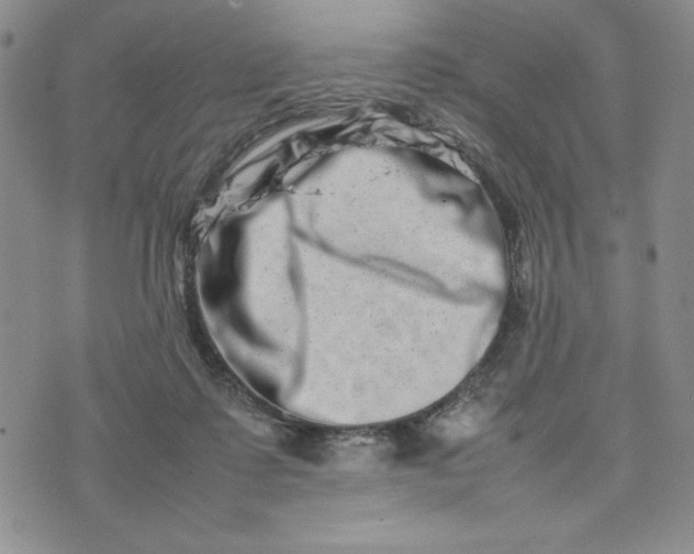 X0000075360315200609251108