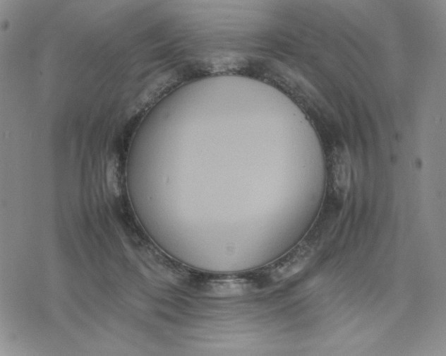 X0000075360316200609251108