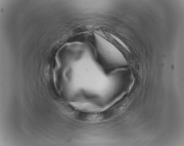 X0000075360319200609251108