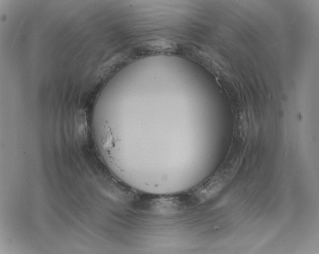 X0000075360320200609251108