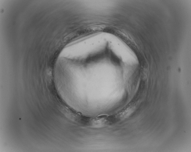 X0000075360321200609251108