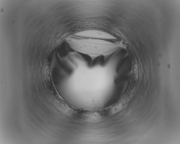 X0000075360322200609251108