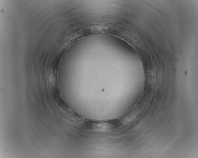 X0000075360324200609251108