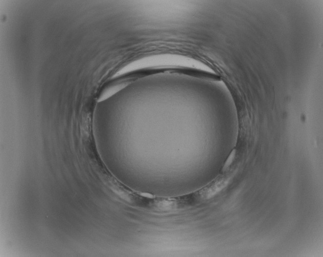 X0000075360325200609251108