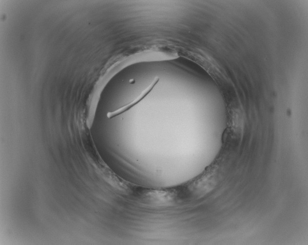 X0000075360326200609251108