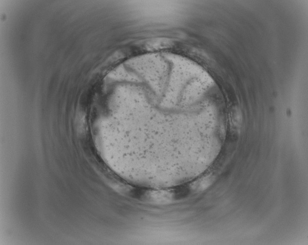 X0000075360327200609251108