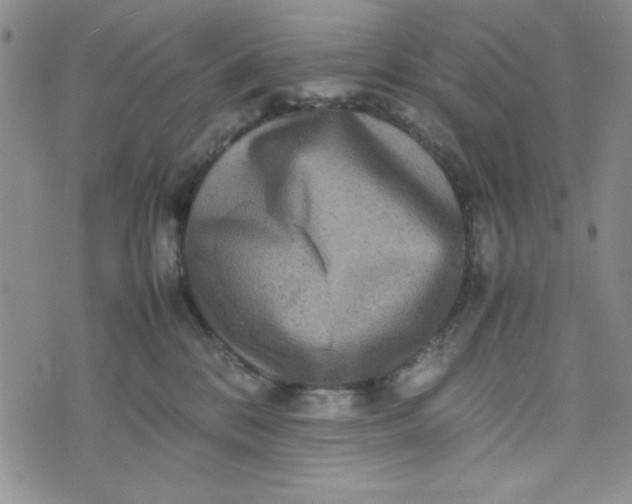 X0000075360328200609251108