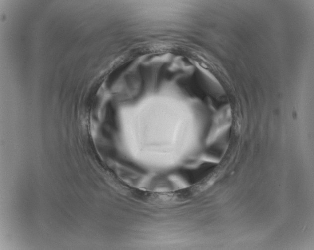 X0000075360329200609251108