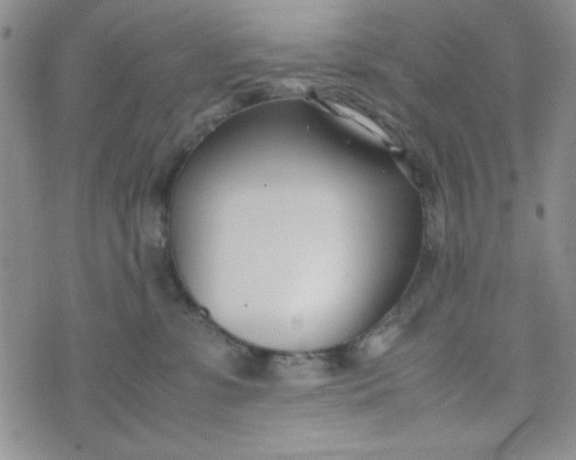 X0000075360331200609251108