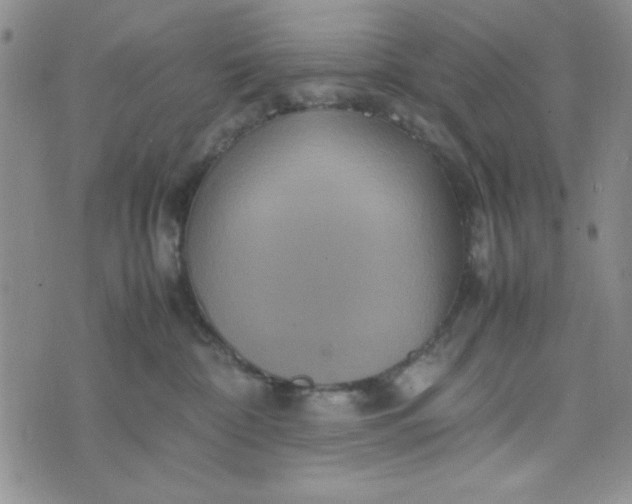 X0000075360332200609251108