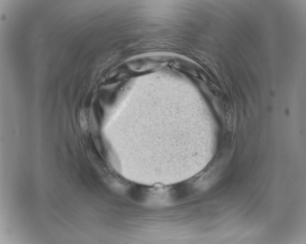 X0000075360335200609251108