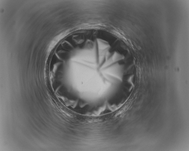 X0000075360340200609251107