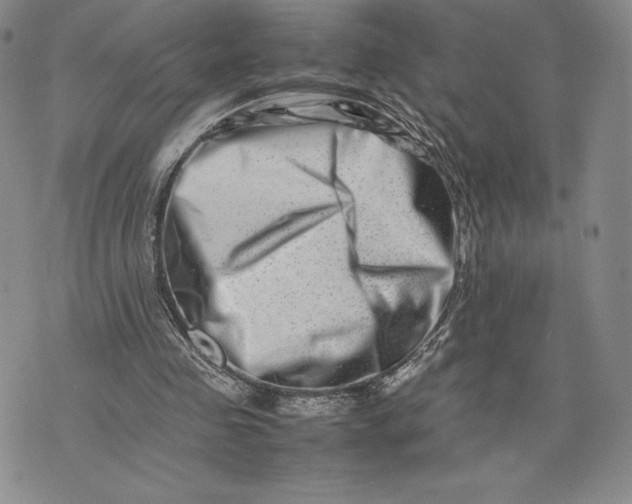 X0000075360341200609251107