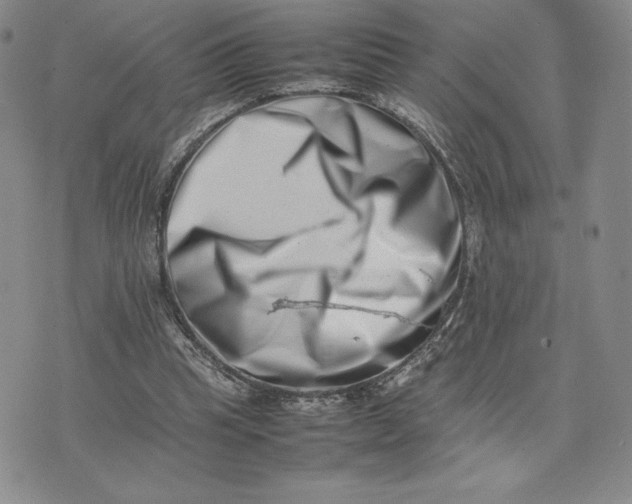 X0000075360345200609251107