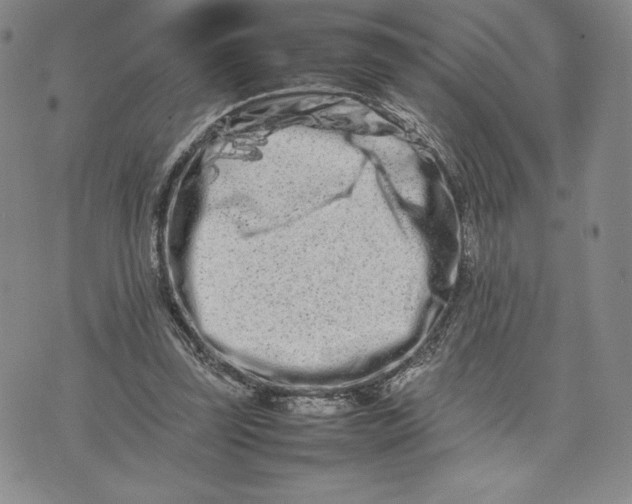 X0000075360347200609251107