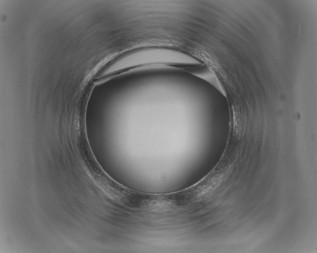 X0000075360348200609251107