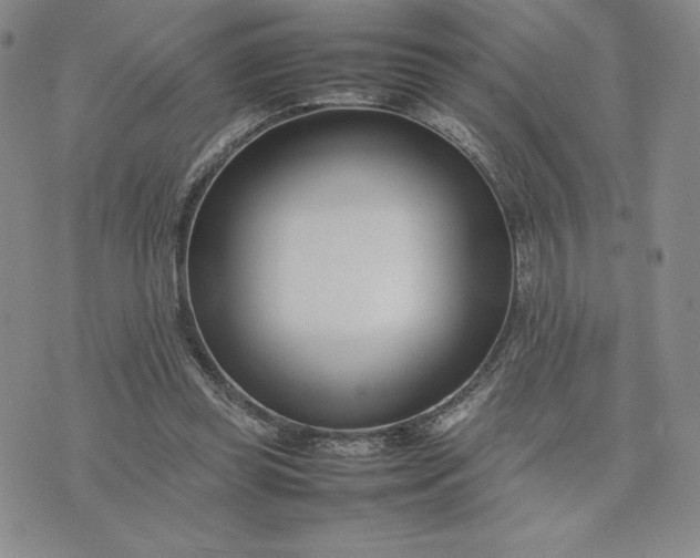 X0000075360349200609251107