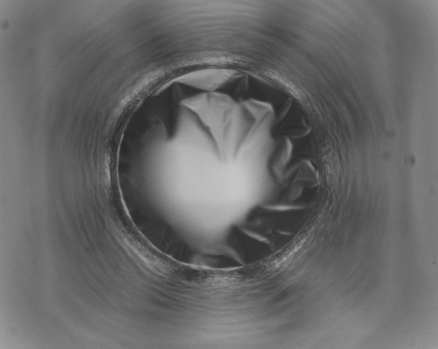 X0000075360350200609251107