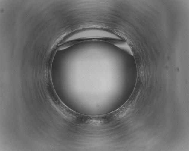 X0000075360352200609251107