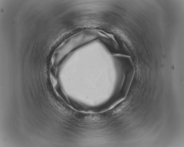 X0000075360354200609251107