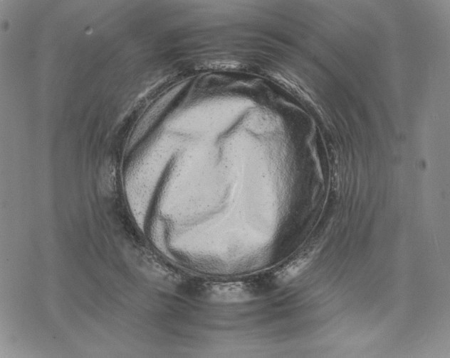 X0000075360355200609251108