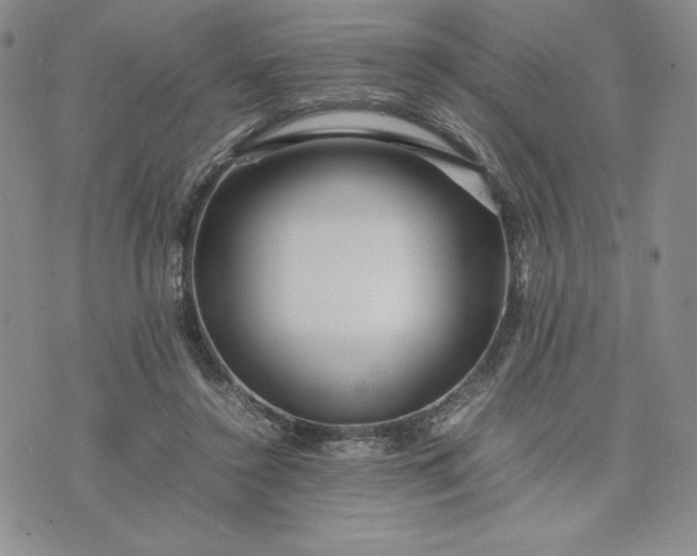 X0000075360356200609251108