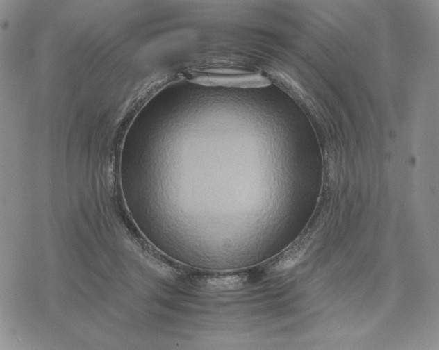 X0000075360357200609251108