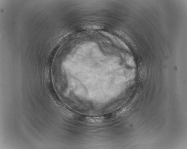 X0000075360359200609251108