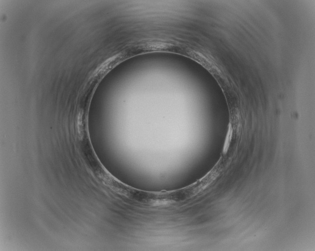 X0000075360360200609251108