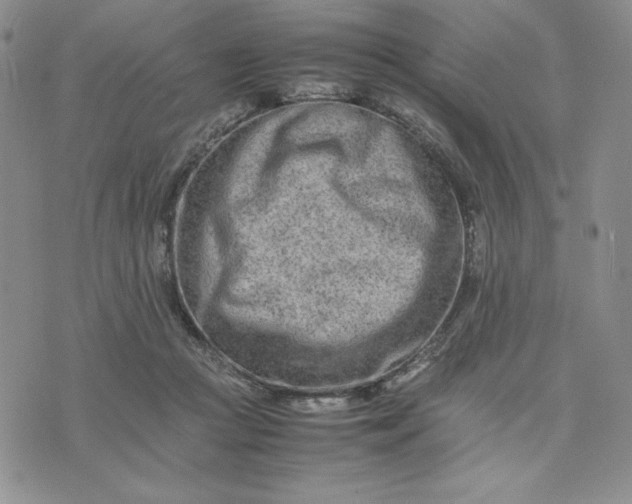 X0000075360361200609251108