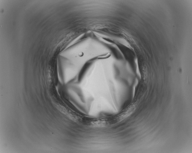 X0000075360362200609251108