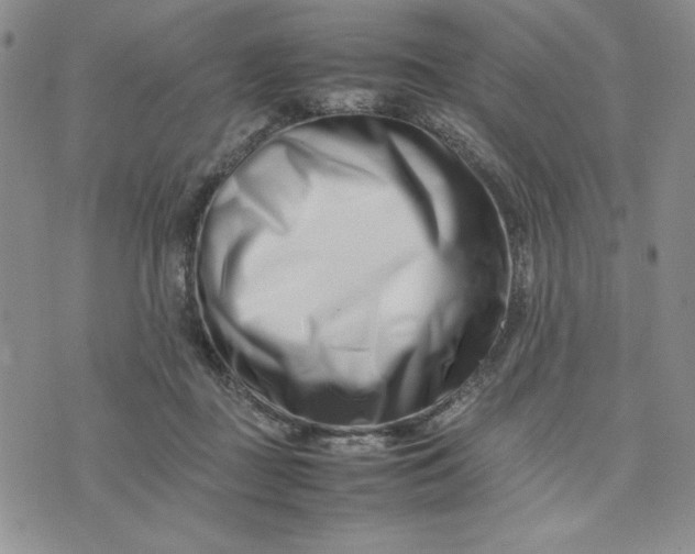 X0000075360363200609251108