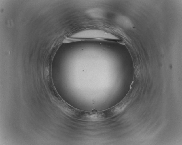 X0000075360365200609251108