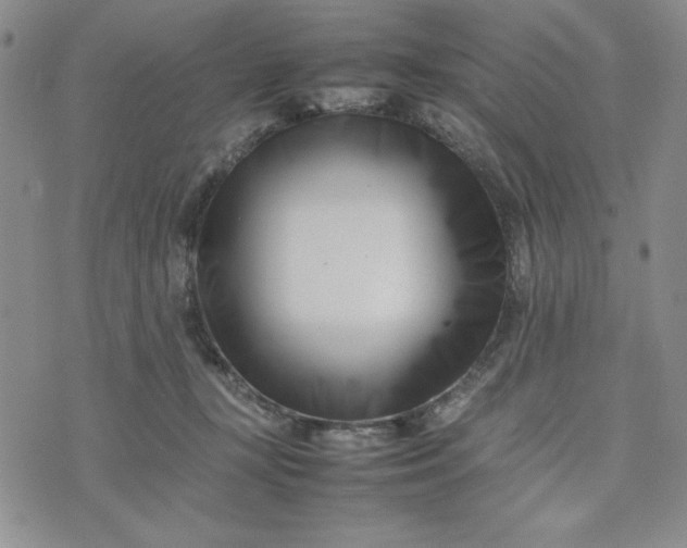 X0000075360367200609251108