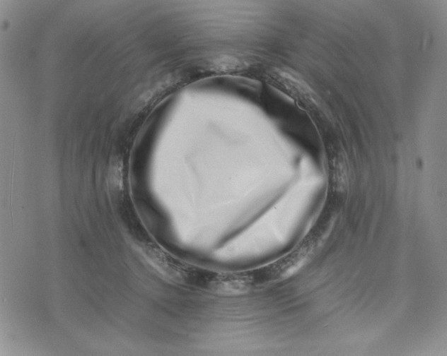 X0000075360368200609251108