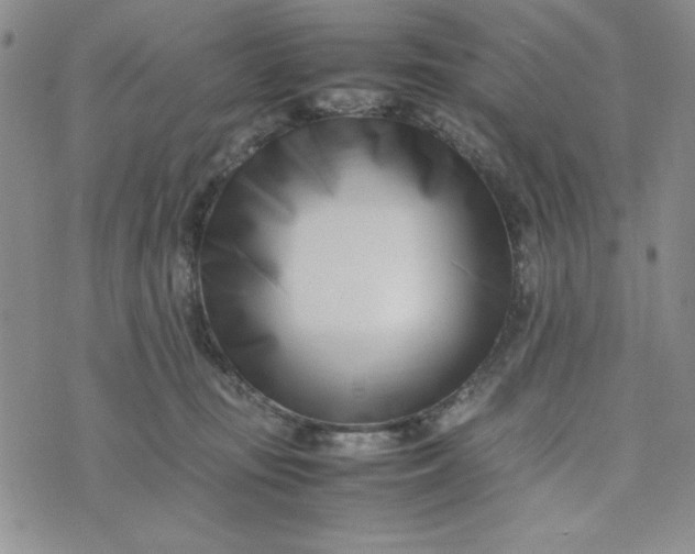 X0000075360371200609251108