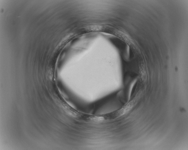 X0000075360374200609251108