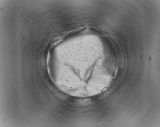 X0000075360375200609251108