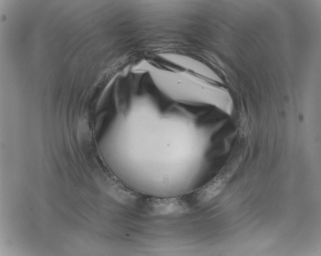 X0000075360377200609251108