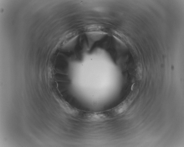 X0000075360379200609251108